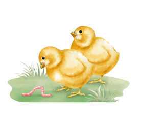 Similar image 22374007