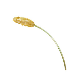 Similar image 22374021