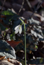 Similar image 22359816