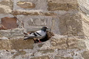 Similar image 22377254