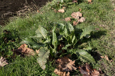 Similar image 22354469