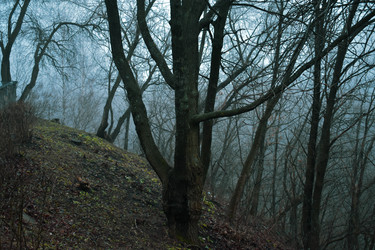 Similar image 22355242