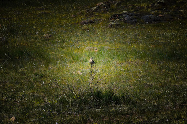 Similar image 22365941