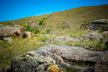 Similar image 22365956