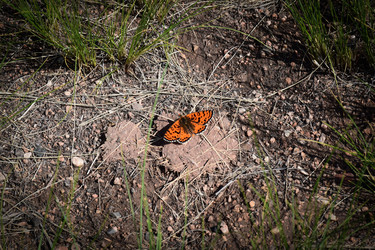 Similar image 22365963