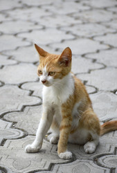 Similar image 22359658