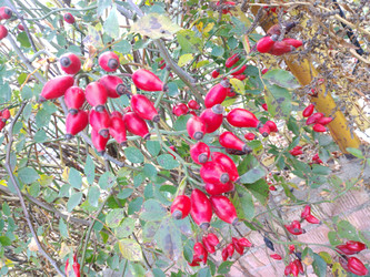 Similar image 22377312