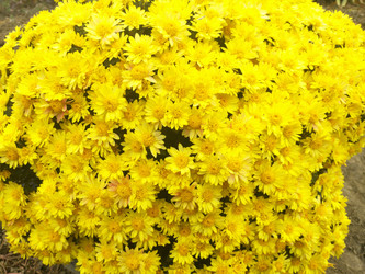 Similar image 22381472