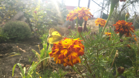 Similar image 22359659