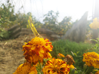 Similar image 22359660