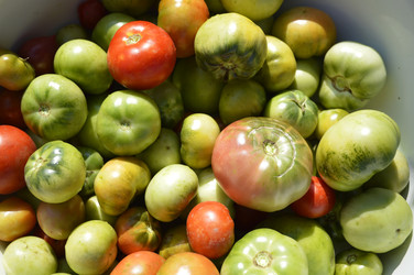 Similar image 22359862