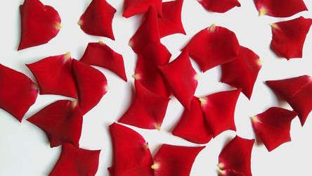 Similar image 22377315