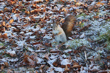 Similar image 22354988