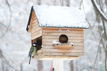 Similar image 22354993