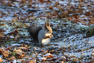 Similar image 22354994