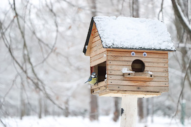 Similar image 22354996