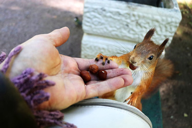 Similar image 22354997