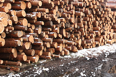 Similar image 22355000