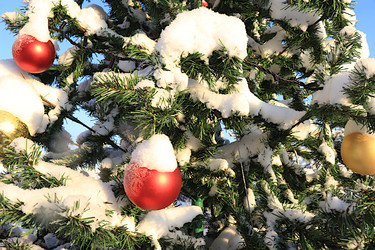 Similar image 22355002