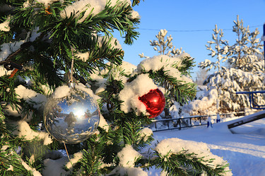 Similar image 22355005