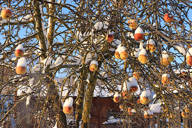 Similar image 22355006