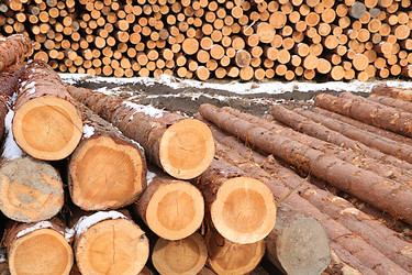 Similar image 22355008