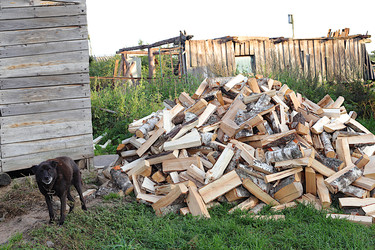 Similar image 22355012