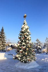 Similar image 22355013