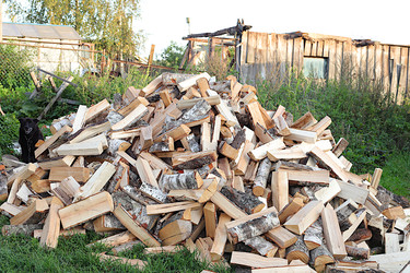 Similar image 22355014