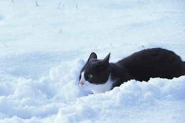 Similar image 22355015