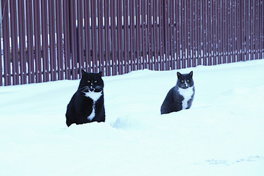 Similar image 22355016