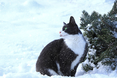 Similar image 22355017