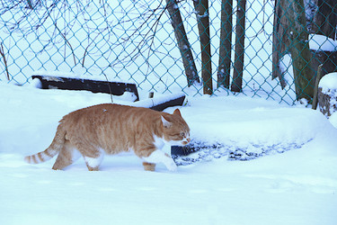 Similar image 22355019