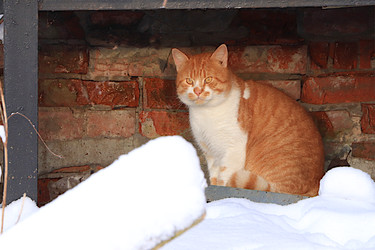 Similar image 22355020