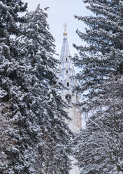 Similar image 22354694