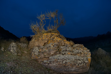 Similar image 22359093