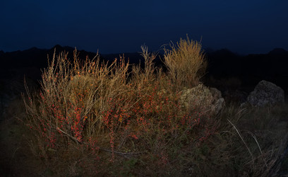 Similar image 22359095