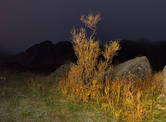 Similar image 22359097