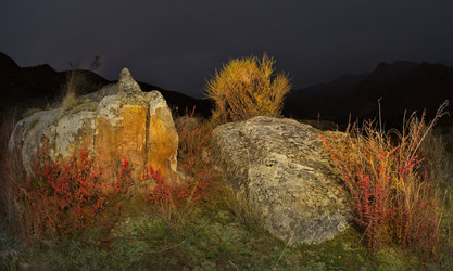 Similar image 22359100