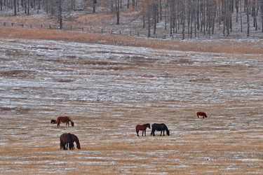 Similar image 22359103