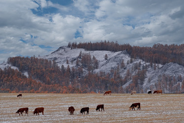 Similar image 22359105