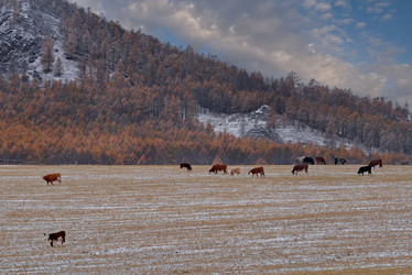 Similar image 22359106