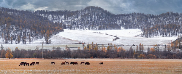 Similar image 22359108