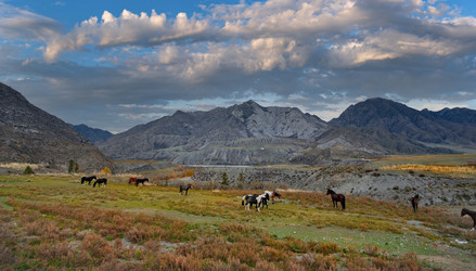 Similar image 22359109