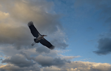 Similar image 22359112