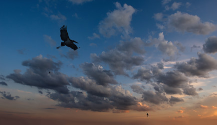 Similar image 22359113