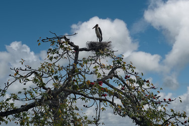 Similar image 22359114