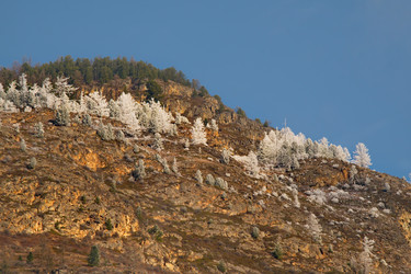 Similar image 22362627