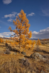 Similar image 22362630