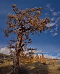 Similar image 22362632